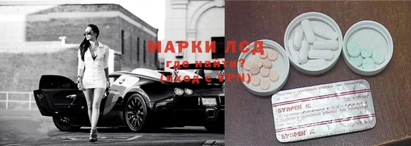 ПСИЛОЦИБИНОВЫЕ ГРИБЫ Гусев