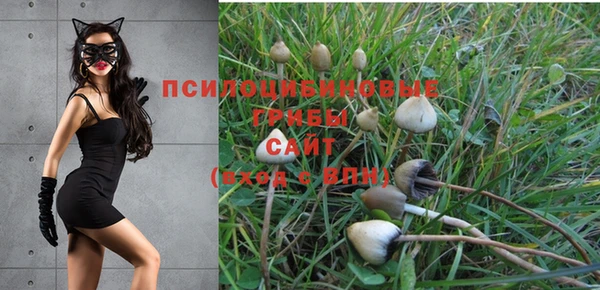 ешки Гусь-Хрустальный