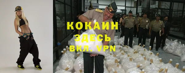 ешки Гусь-Хрустальный