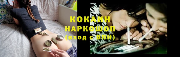 ПСИЛОЦИБИНОВЫЕ ГРИБЫ Гусев