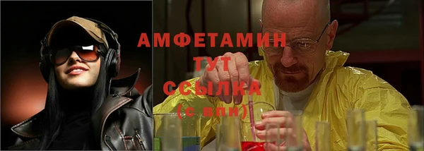 ПСИЛОЦИБИНОВЫЕ ГРИБЫ Гусев