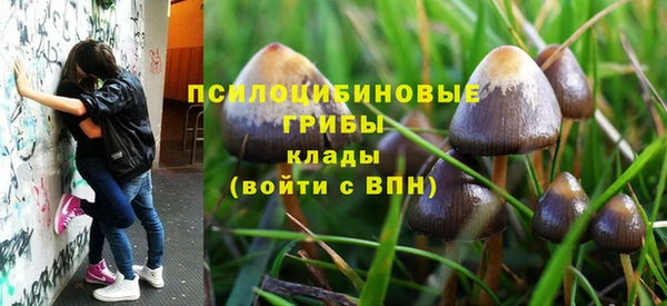 первитин Гусиноозёрск