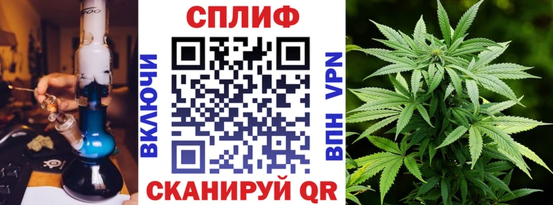 Купить закладки  Лесозаводск  Канабис тримм 